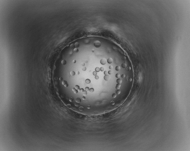 X0000112731301200908271420