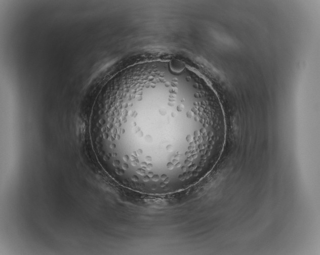 X0000112731302200908271420