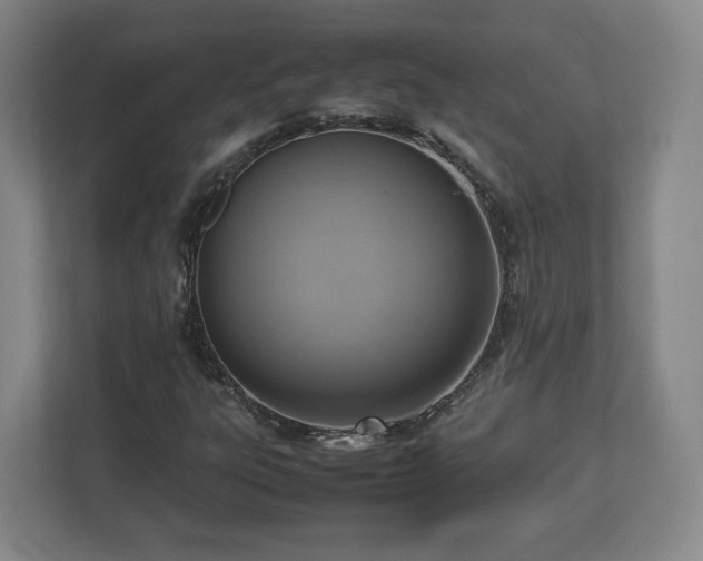 X0000112731303200908271420