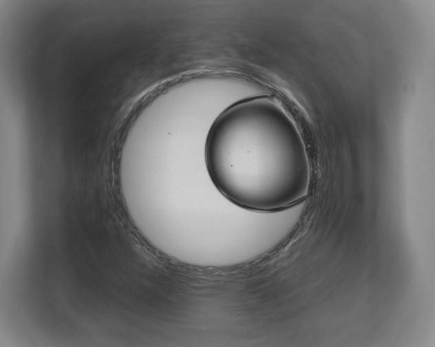 X0000112731304200908271420