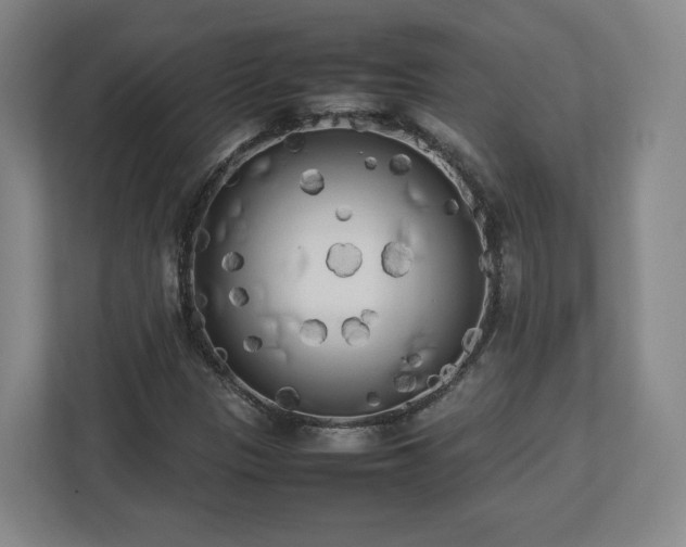 X0000112731305200908271420