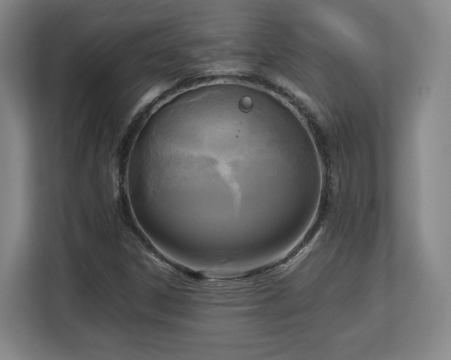 X0000112731306200908271420