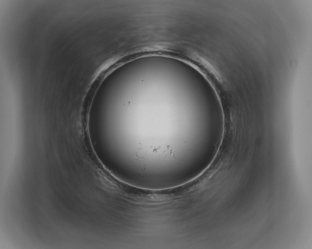 X0000112731308200908271420