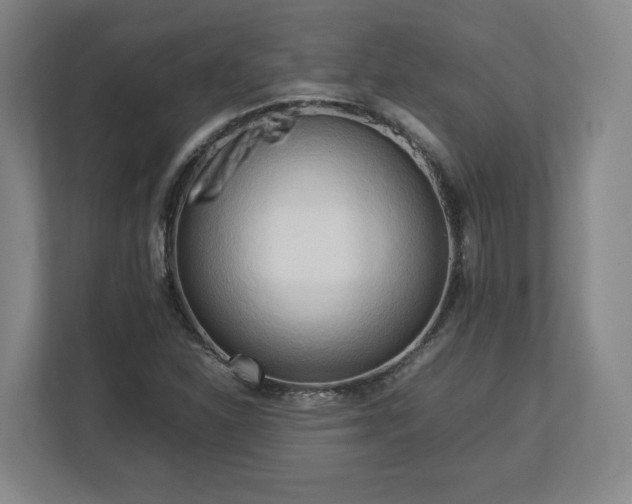 X0000112731310200908271420