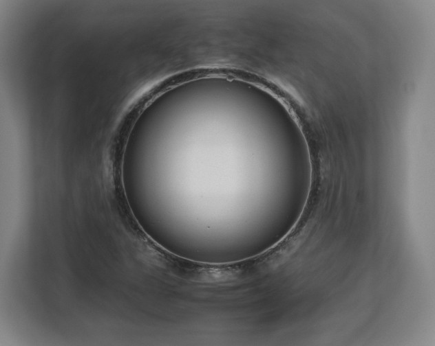 X0000112731311200908271420