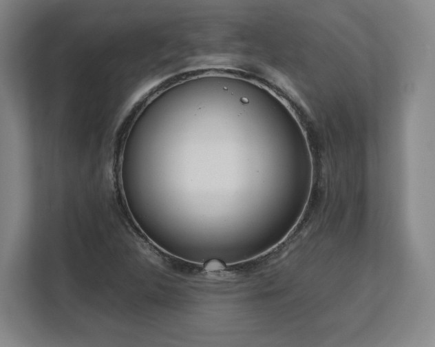 X0000112731312200908271420