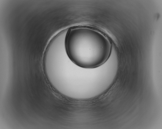 X0000112731316200908271420