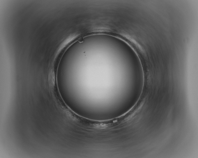 X0000112731317200908271420