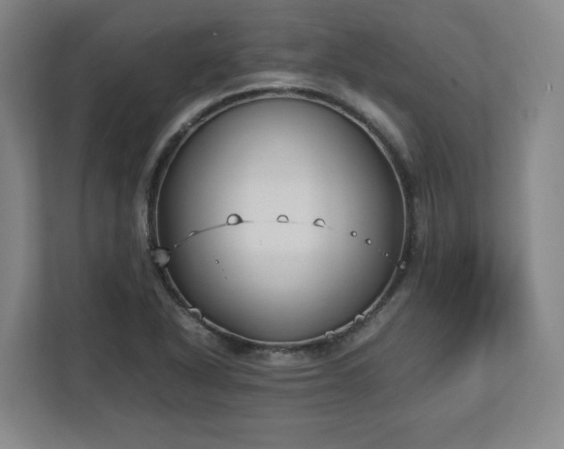 X0000112731318200908271420