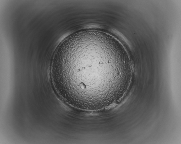 X0000112731321200908271420