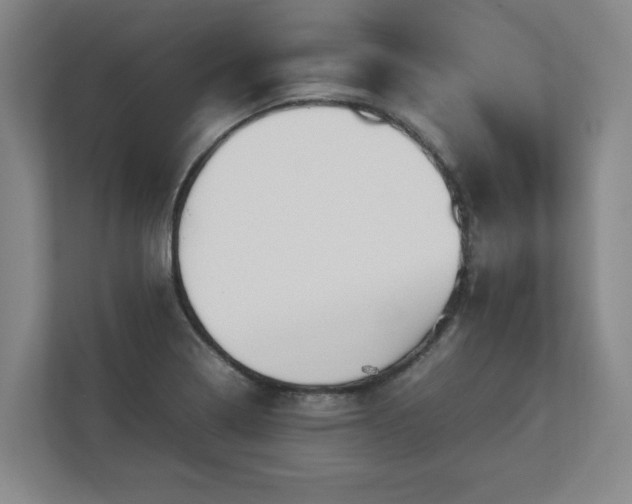 X0000112731322200908271420