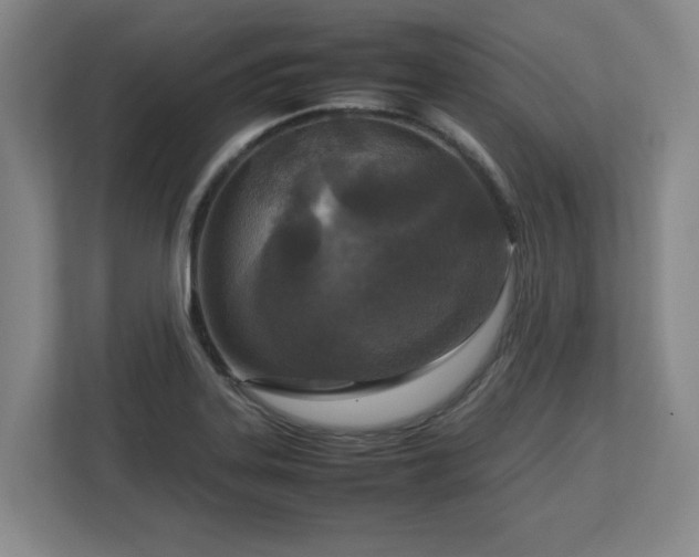 X0000112731323200908271420