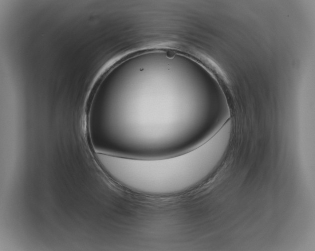 X0000112731324200908271420