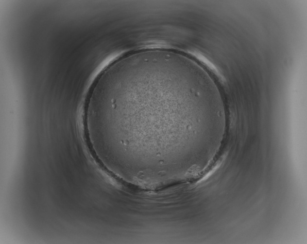 X0000112731325200908271420