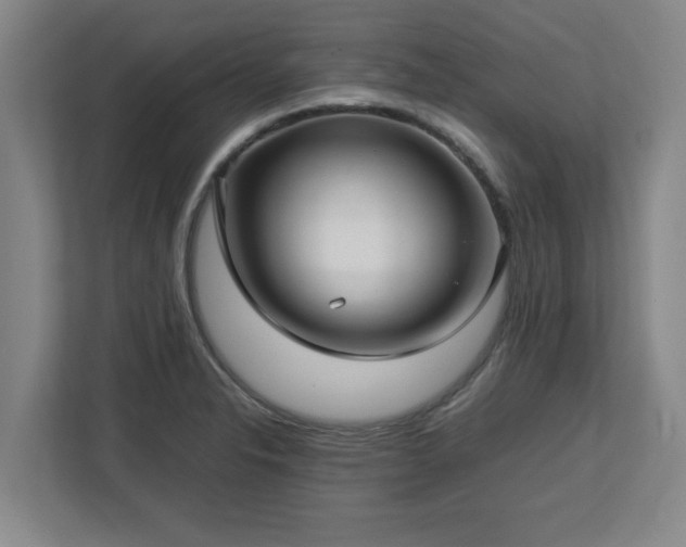 X0000112731326200908271420