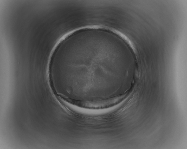 X0000112731327200908271420