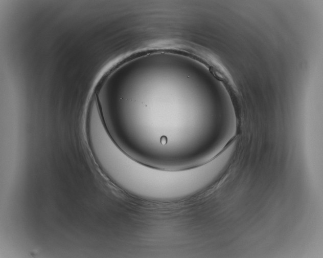 X0000112731328200908271420