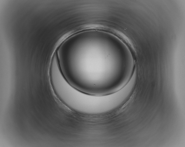 X0000112731330200908271420