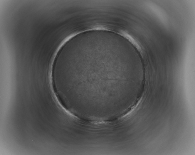 X0000112731331200908271420