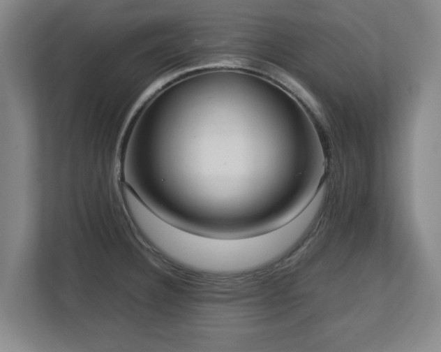 X0000112731332200908271420