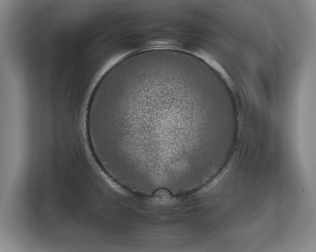 X0000112731333200908271420