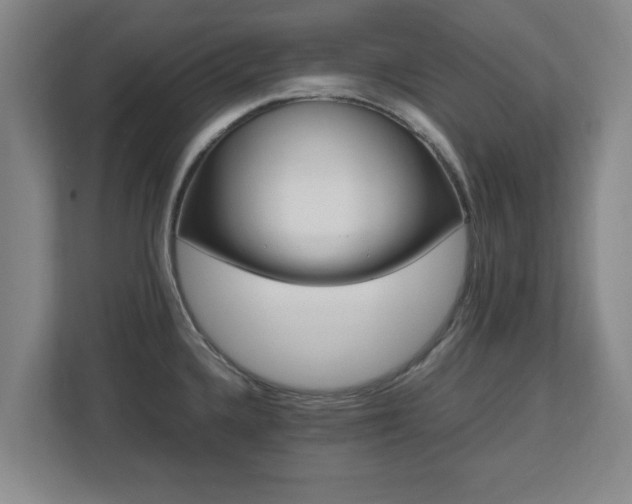 X0000112731336200908271420