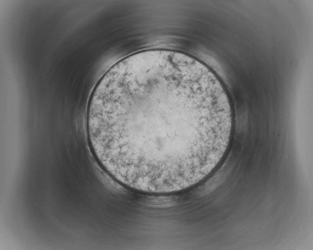 X0000112731338200908271420