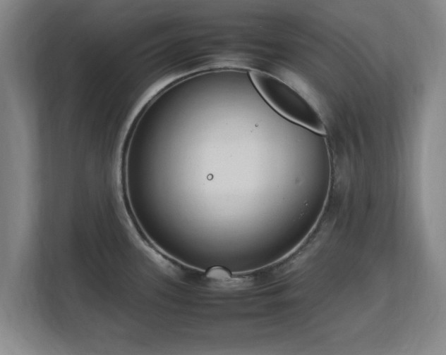 X0000112731339200908271420