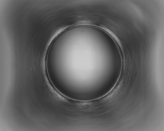 X0000112731341200908271421