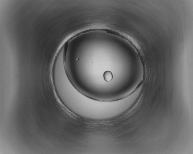 X0000112731342200908271421