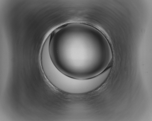 X0000112731344200908271421