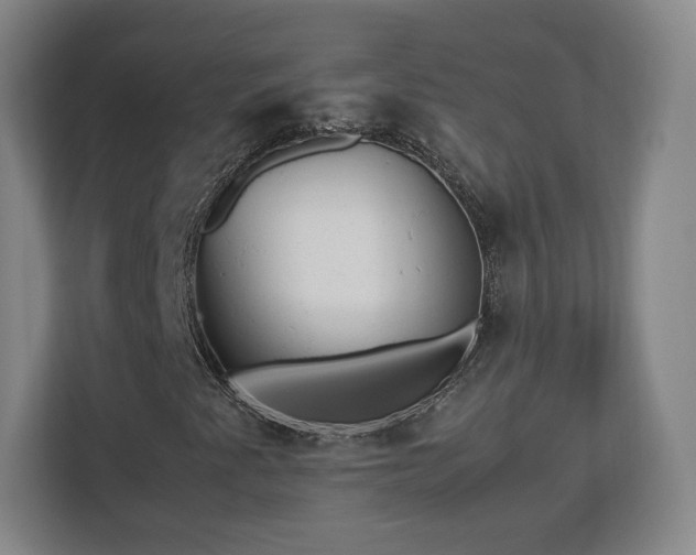 X0000112731345200908271420