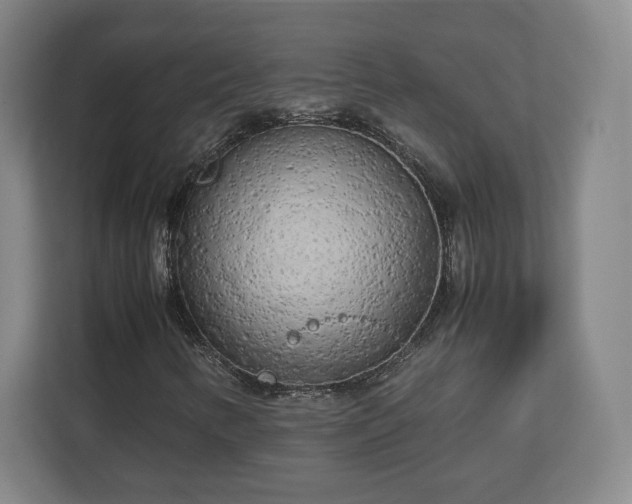 X0000112731346200908271420