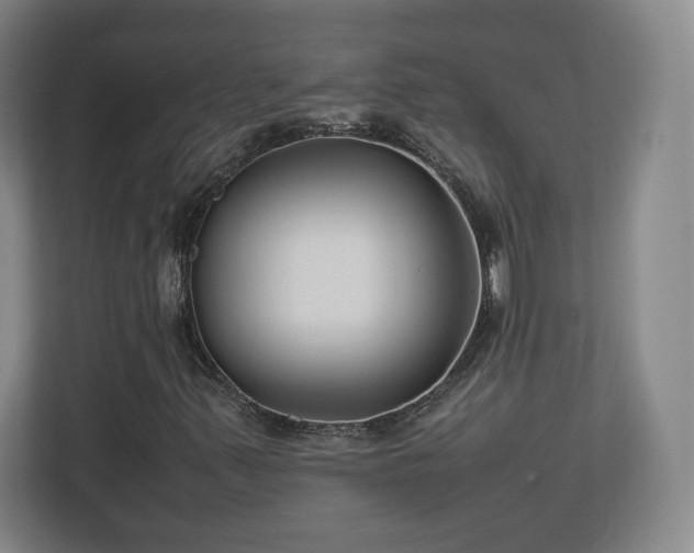 X0000112731347200908271420