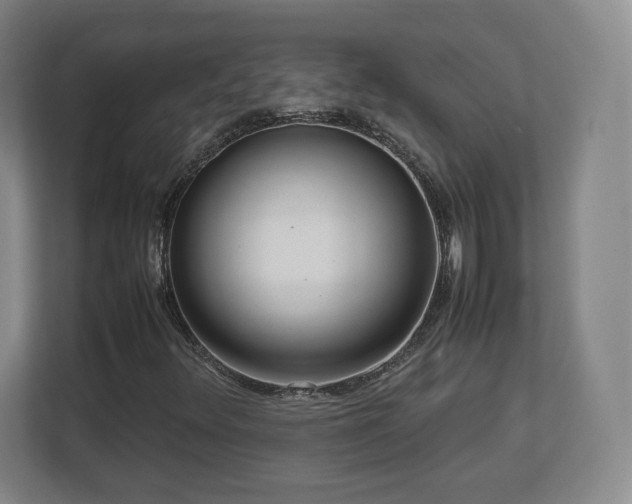 X0000112731348200908271420