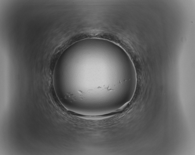 X0000112731349200908271420