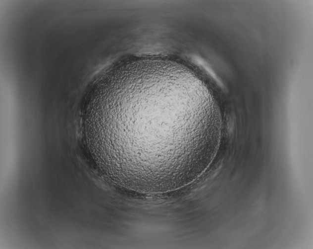 X0000112731350200908271420