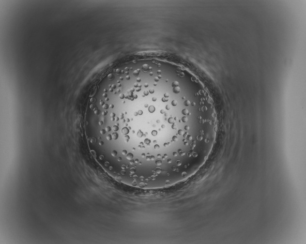 X0000112731351200908271420