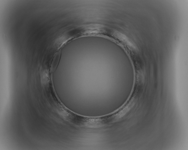 X0000112731353200908271420