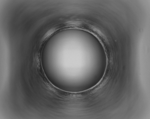 X0000112731354200908271420