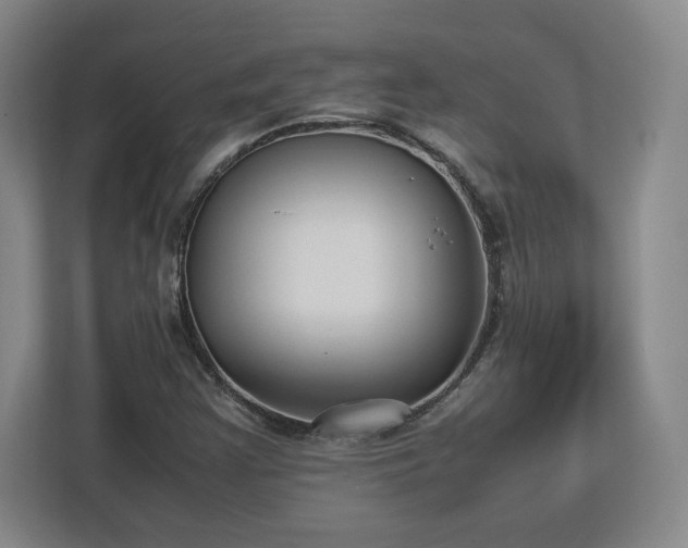 X0000112731355200908271420