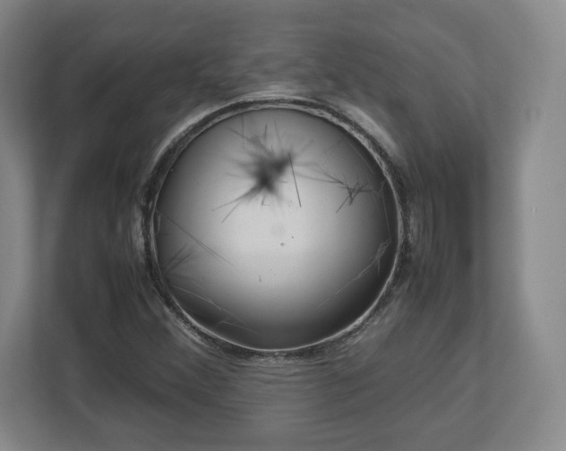 X0000112731356200908271420