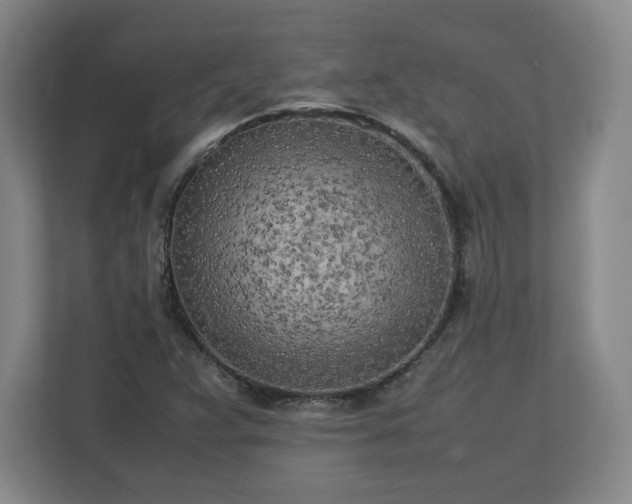 X0000112731359200908271420