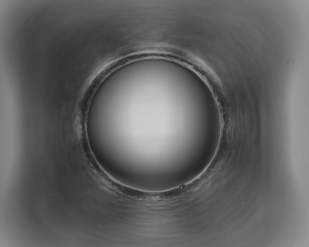 X0000112731360200908271420