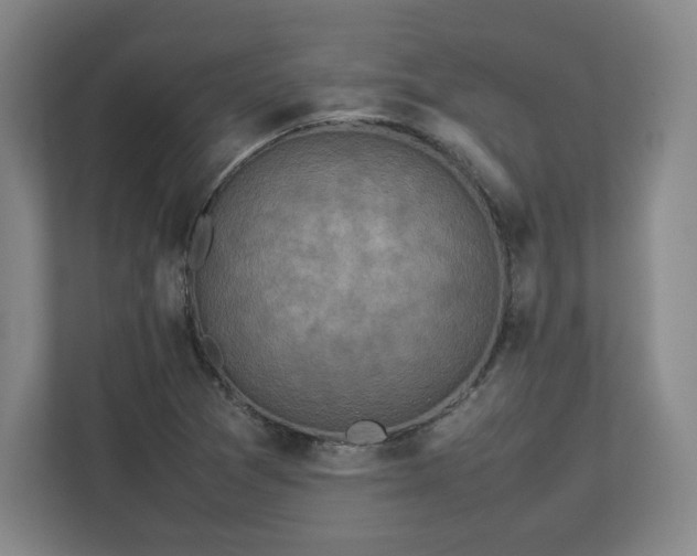 X0000112731361200908271420