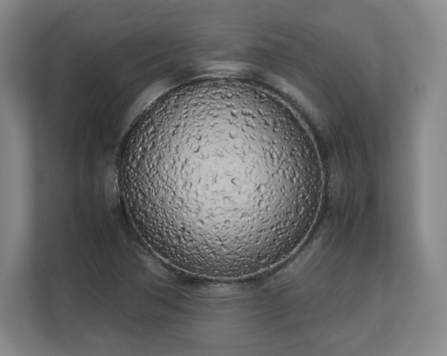 X0000112731362200908271420