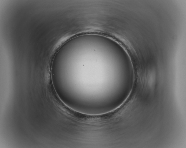 X0000112731363200908271420