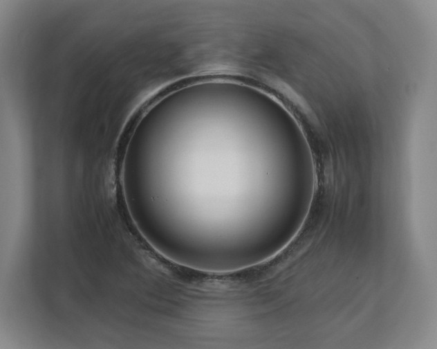 X0000112731364200908271420