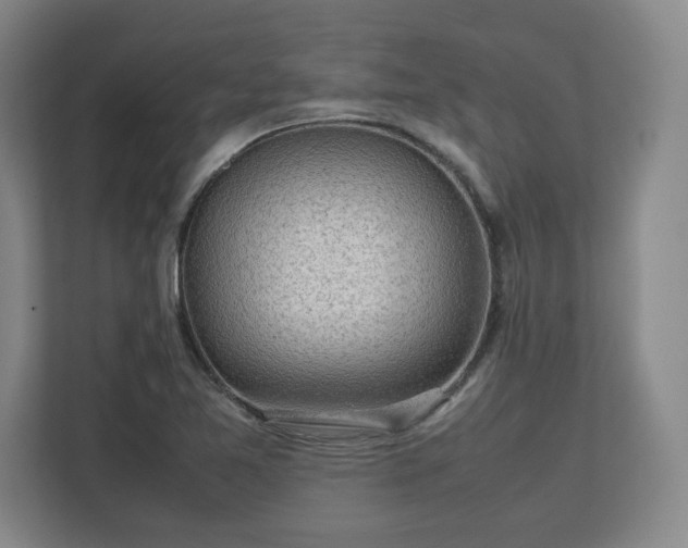 X0000112731365200908271420