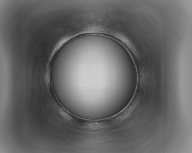 X0000112731366200908271420